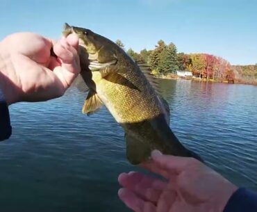 CT Stocked Atlantic Salmon