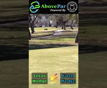 Is this too far for the Texas Wedge? #golf #shorts #golfing #golfswing #comedy #funny