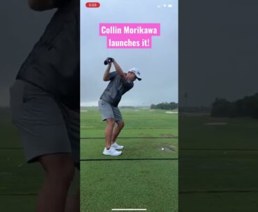 Collin Morikawa launches tee shot! #collinmorikawa #golf #shorts #tomgillisgolf
