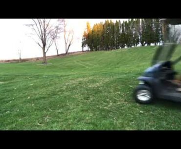 Golf Cart Gals