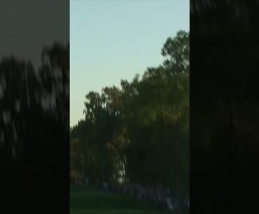 Tiger Woods Divot? 🔥