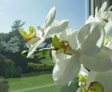Bella Vista Country Club Golf Course & Banquet Facilities