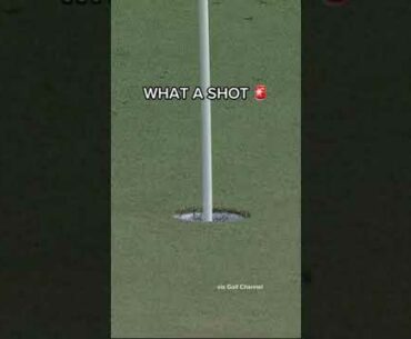 VIKTOR HOVLAND 🔥🔥🔥