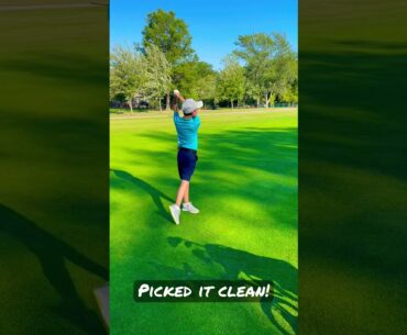 Clean pick! #shorts #golf #cobra #pga #tigerwoods #ping #goodgood #callaway #fortheboys #golfshorts