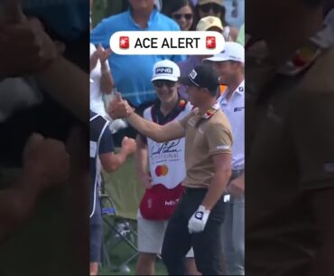 Viktor Hovland ⛳ Arnold Palmer Invitational #raglifeweekendsportfest #pgatour #pga2k #golf