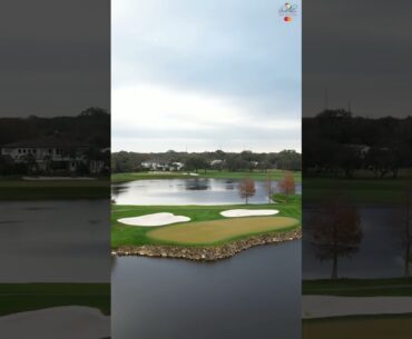 Rise and Shine Bay Hill #pga #golf #golfswing #bayhill #api
