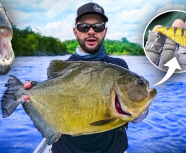 Le plus GROS PIRANHA du monde dévore mon leurre !