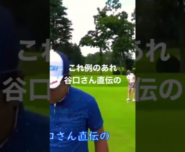 #稲森佑貴 パタ練 谷口さん直伝 ティーをボールの前に刺して順回転の練習 家練はマットにコイン