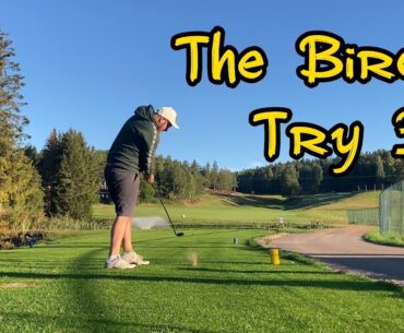 How to be GOOD in golf?? #birdiechallenge #subscribe #golfvlog