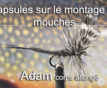 28- Adam corps allongé   HD 720p