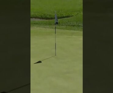 First ever LIV Golf HOLE IN ONE MATTHEW WOLFF #golfswing #shorts #golfday #LIVGolf #golf