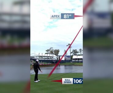 Hole-in-one on the Island Green 🤩
