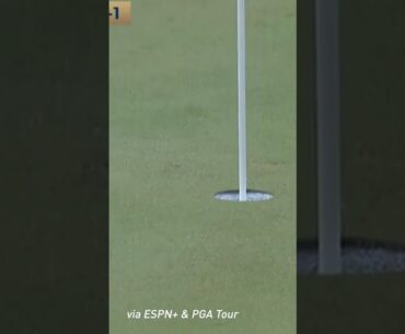 Hole-in-one! Bottom of the cup for Buckley! #shorts #golf