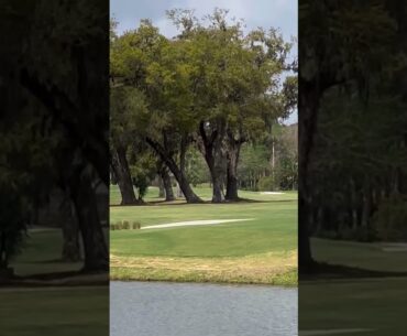 That thing walked on 💦… #shorts #golf #golfshot