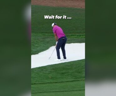 No, not THAT hole! 😂
