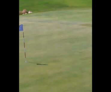 Playing good golf.