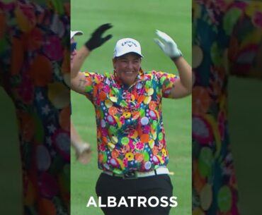 Bonita Bredenhann ALBATROSS