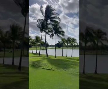 Lars TM Driver, Hole 18, Blue Monster @Shorts