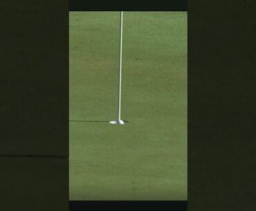 Aaron Rai makes hole-in-one at iconic 17th #golfswing #holeinone #trending #golfer #golflife #shorts