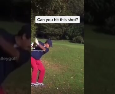 Patrick Reed Escape! #golf #golfer #golfcoach #golftips #golfclub #golfswing #golfing #youtubeshorts
