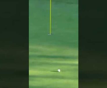 Tiger Woods Masters shot on 16th Hole 2005
