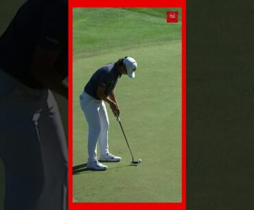 Shot from the Bush to save PAR for  Min Woo Lee #golf #shorts