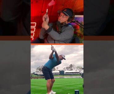Its important to understand how your grip effects your plane & clubface dynamics in your golf swing