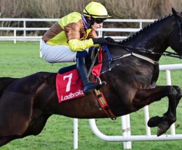 GALOPIN DES CHAMPS strikes Gold at the Dublin Racing Festival