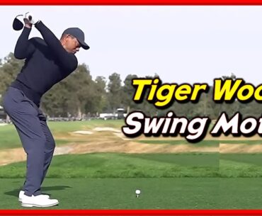 Returned PGA "Tiger Woods" 2023 New Swing & Slow MotionsㅣDriver Wood Iron