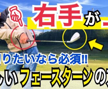 【あなたが飛ばない理由】飛ばない人にコレだけは知って欲しい！フェースターン【無料レッスン】【漆黒レッスン】【反面教師に】【WGSL】【Toshiプロ】【シングルMatsuさん】【シングルKENさん】