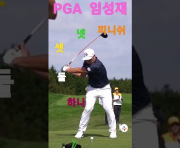 PGA 임성재 드라이버 스윙 #PGA #임성재 #드라이버스윙 #대구레슨