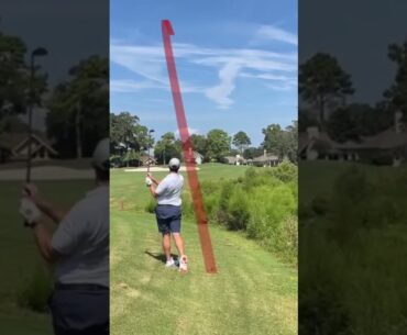 Alligators on the golf course are scary