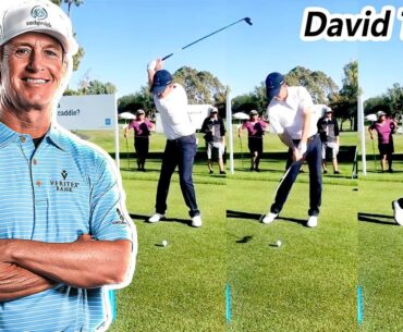 David Toms デビッド・トムズ 米国の男子ゴルフ スローモーションスイング!!!