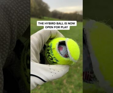 GOLF BALL INSIDE A TENNIS BALL?! Father VS Son