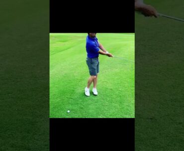 Taylor Moore テイラー・ムーア