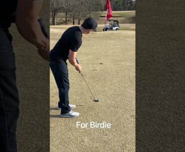 Two brothers trying to break par Hole 4. #shorts #golf