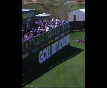 Bubba Watson Lucky escape #livgolf #golf #shorts #golfswing