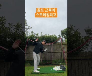 프로들의 모션을 꼭 따라해봐야 되는 이유