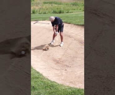 Just Trying to Get Out Of the Bunker