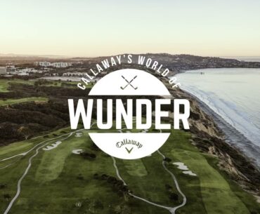 Annika Sorenstam - Paradym Irons vs. Gamer Irons \ World of Wunder