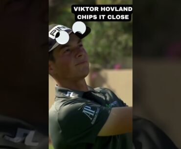 Viktor Hovland 🎯