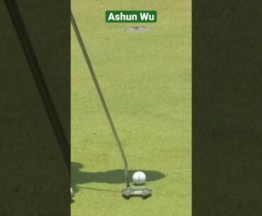 How did it go in ? #golf #golfputting #shorts