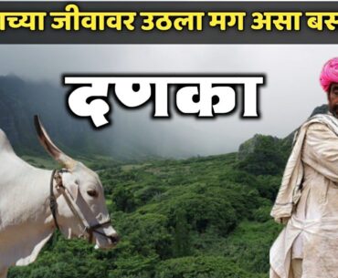 दणका | बैलाच्या जीवावर उठला मग असा बसला दणका