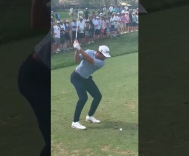 Cameron Young iron swing!