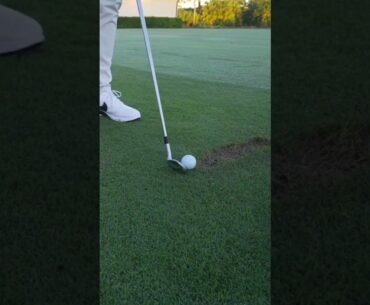 Rory usingTaylorMade's P7MB iron 🔥 #shorts #golf #views #viral #satisfying