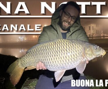 UNA NOTTE IN CANALE #carpfishing