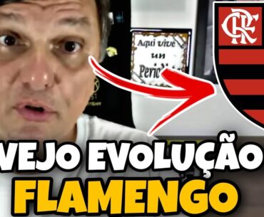 " O FLAMENGO FOI MELHOR QUE O FLUMINENSE NO CONJUNTO DA OBRA" ( MAURO CEZAR PEREIRA)