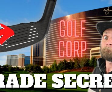 They DON'T want you to know this... the Budget HYBRID GUIDE!? (For all Players)