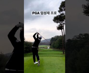 PGA 임성재 프로 깔끔한 드라이버 #golf #골프 #golfswing #골프스윙