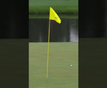 Tiger Woods moves inside the projected cut line with birdie on No. 15 | The Masters #shorts